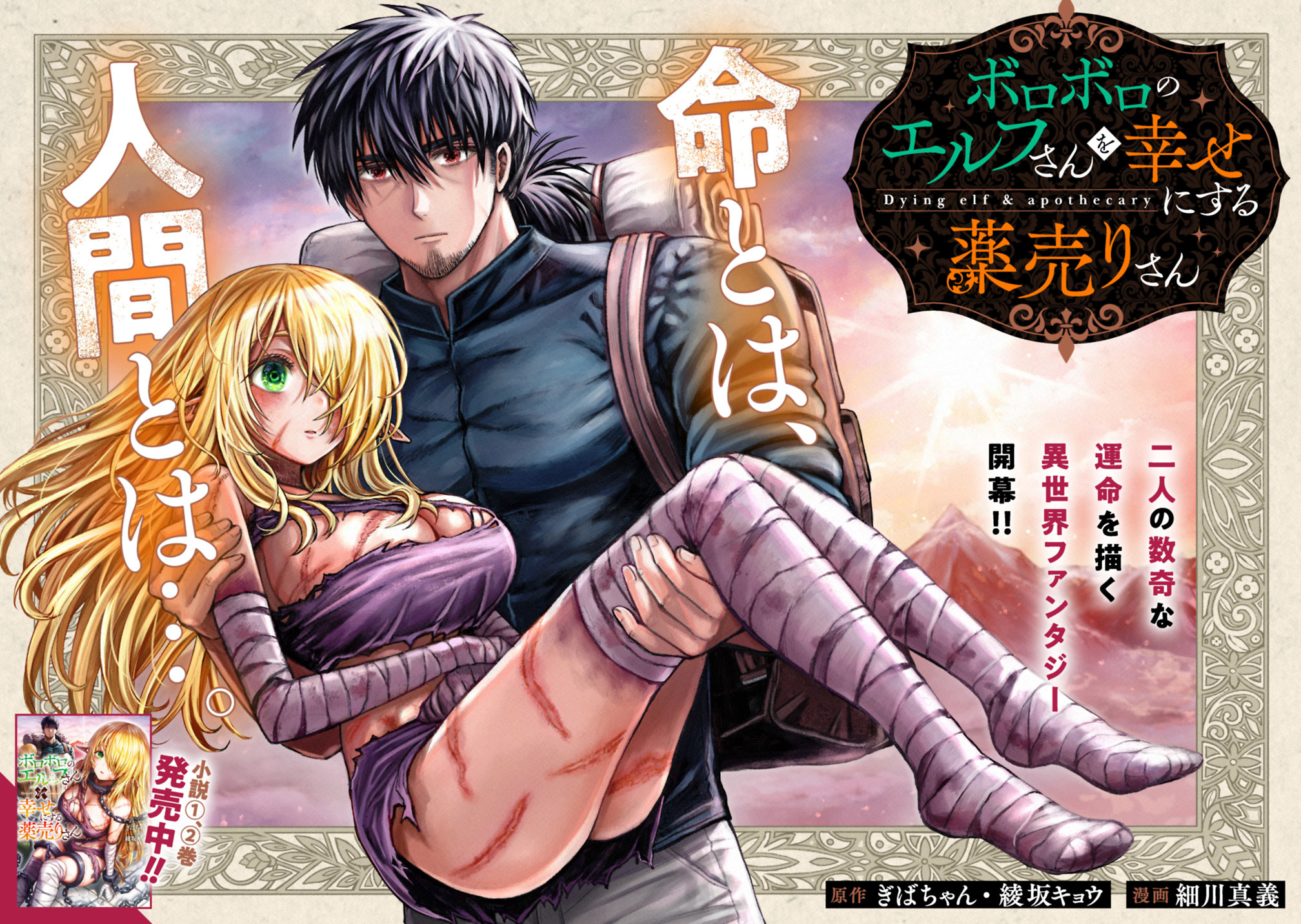 Sampul Boroboro no Elf-san wo Shiawase ni Suru Kusuriuri-san
