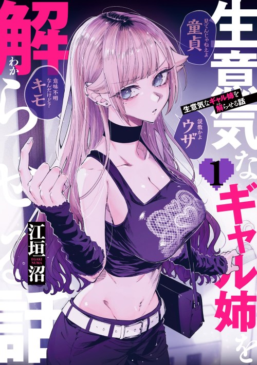 Cover Namaiki na Gal Ane wo Wakaraseru Hanashi