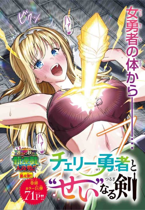 Cover Cherry Yuusha to “Sei” Naru Tsurugi