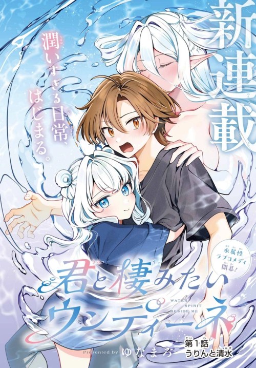 Cover Kimi to Sumitai Undine