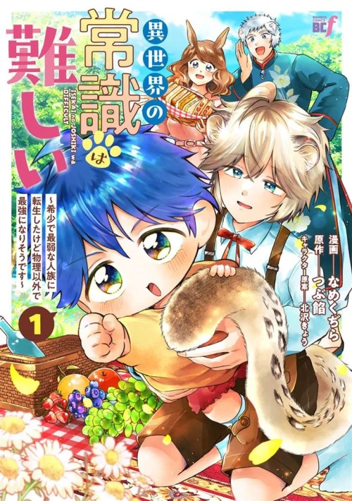 Isekai no Joushiki wa Muzukashii: Kishou de Saijaku na Hitozoku ni Tensei Shita Kedo Butsuri Igai de Saikyou ni Nari Sou Desu