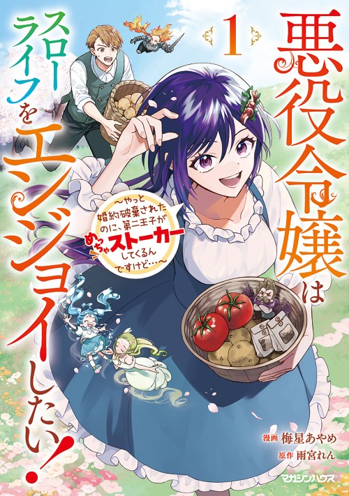Akuyaku Reijou wa Slow Life o Enjoy Shitai!: Yatto Kon’yaku Hakisareta no ni, Daini Ouji ga Meccha Stalker Shitekurun desu kedo
