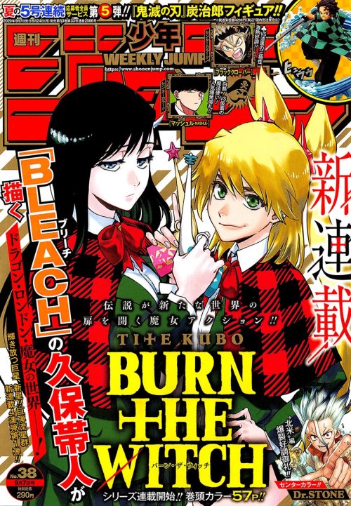 Sampul Burn The Witch