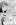 Komik Cat and Cat Endless Night Preview Gambar 1