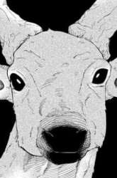 Komik Ginka to Gluna Preview Gambar 3