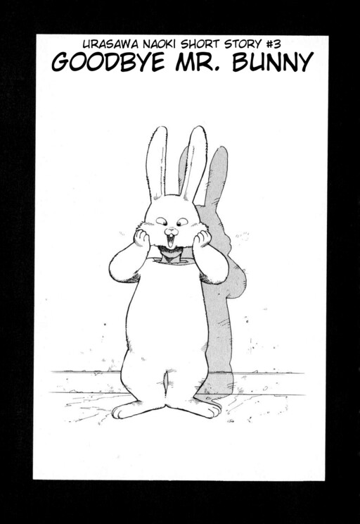 Cover Goodbye Mr. Bunny