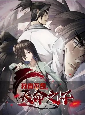 Cover I’m Not the Son of Destiny