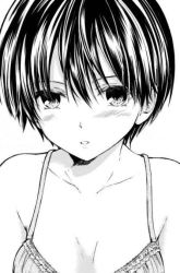 Komik Ojou-sama no Shimobe Preview Gambar 1