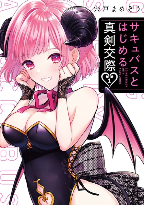 Sampul Seriously Dating a Succubus