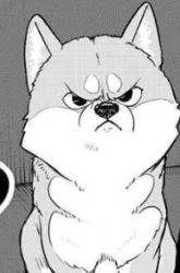 Komik Shiba-Tsuki Bukken Preview Gambar 2