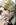 Komik Silent Night Preview Gambar 2