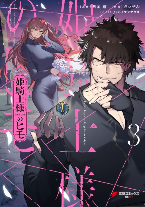 Cover The Kept Man of the Princess Knight