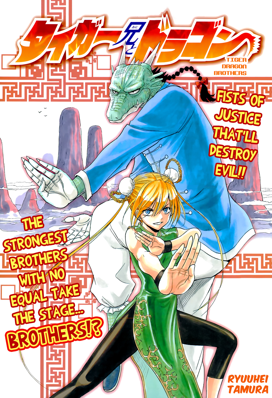 Sampul Tiger Dragon Brothers