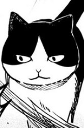 Komik Tsureneko: Maruru to Hachi Preview Gambar 2